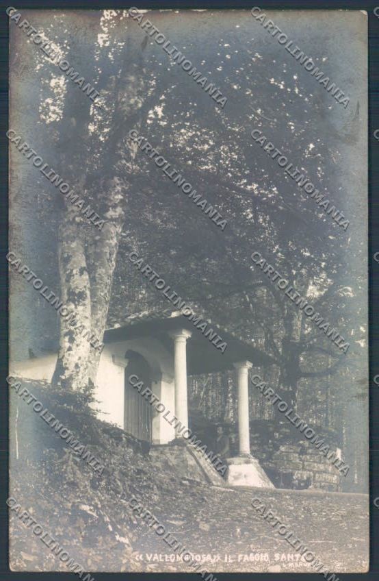 Firenze Reggello Vallombrosa Foto cartolina ZG1164 – fronte