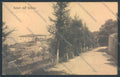 Firenze Reggello Saltinocartolina ZG1168 – fronte