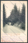 Firenze Reggello Vallombrosa cartolina ZG1175 – fronte