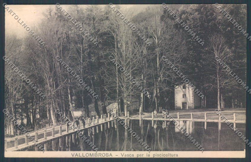 Firenze Reggello Vallombrosa Piscicultura cartolina ZG1180 – fronte