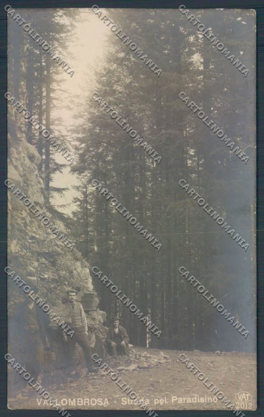 Firenze Reggello Vallombrosa Foto cartolina ZG1182 – fronte