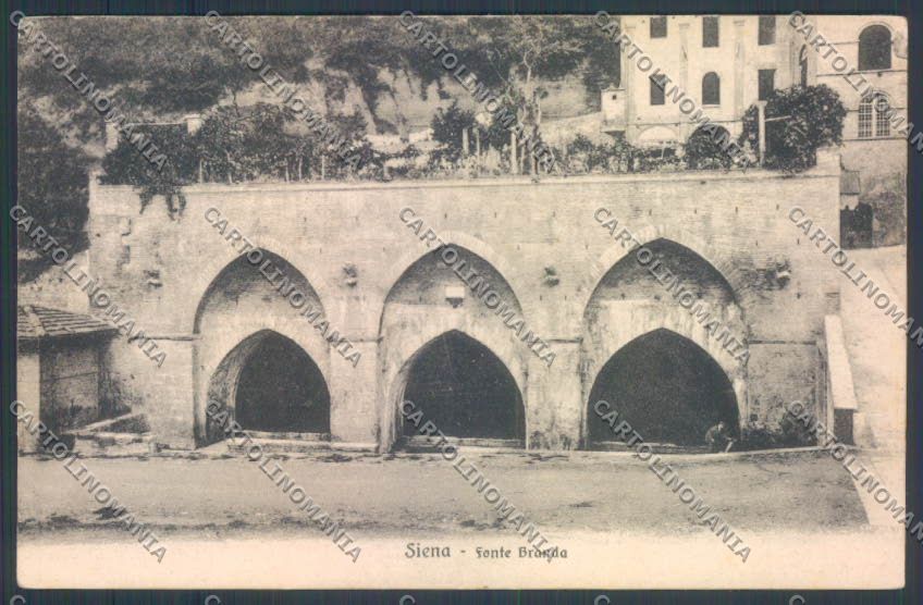 Siena città cartolina ZG1194 – fronte