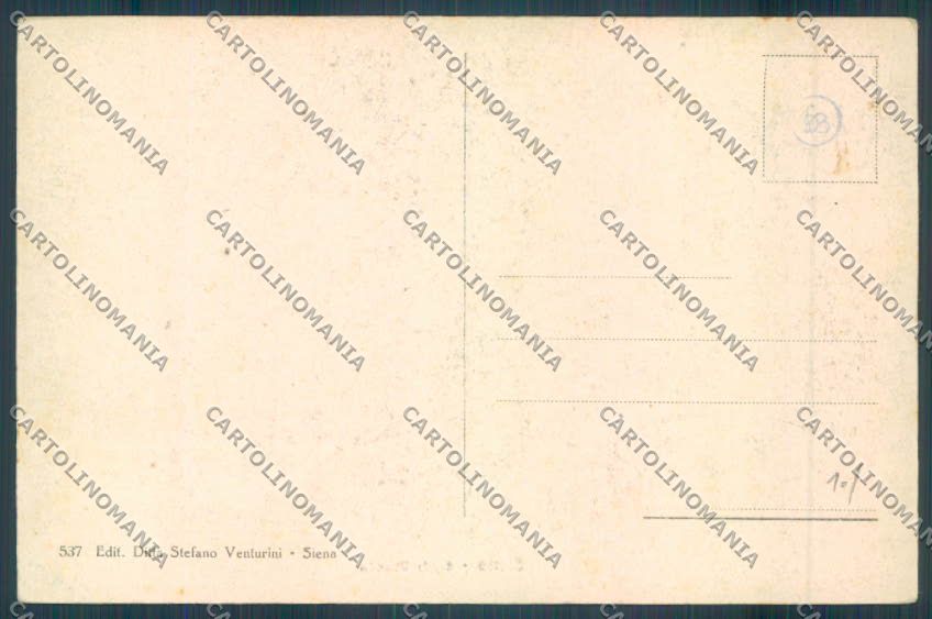 Siena città cartolina ZG1194 – retro