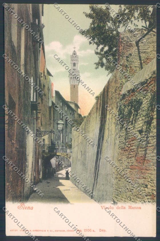 Siena città cartolina ZG1203 – fronte