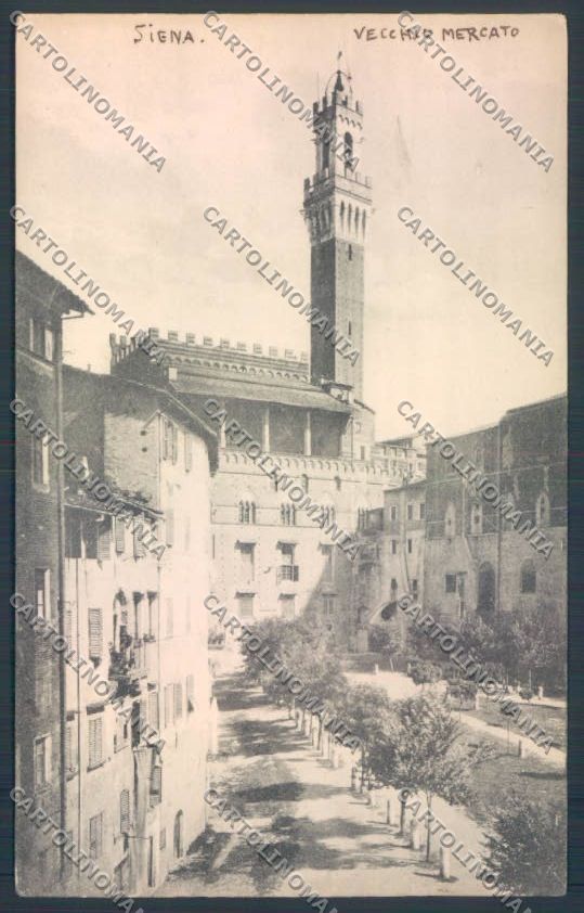 Siena città cartolina ZG1207 – fronte