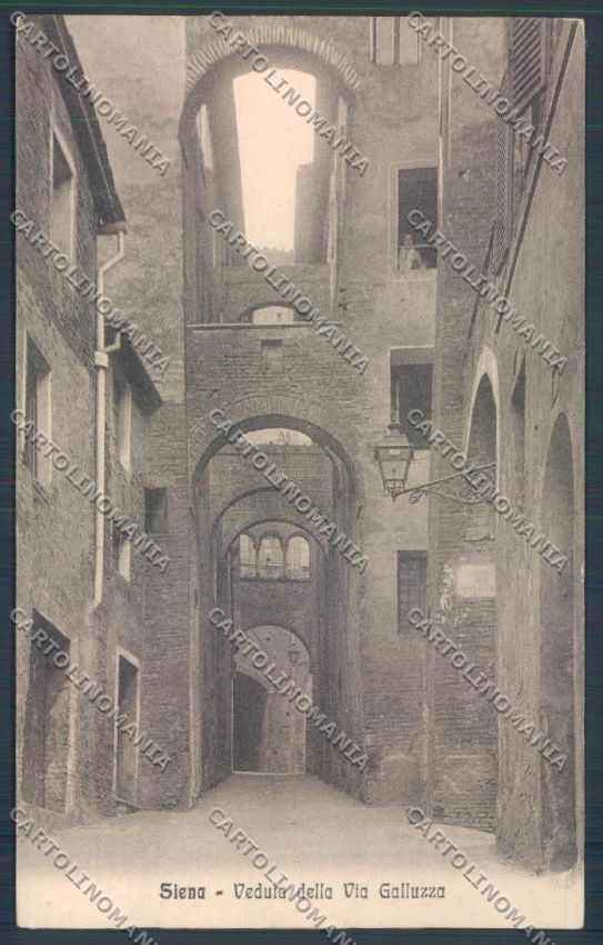 Siena città cartolina ZG1209 – fronte
