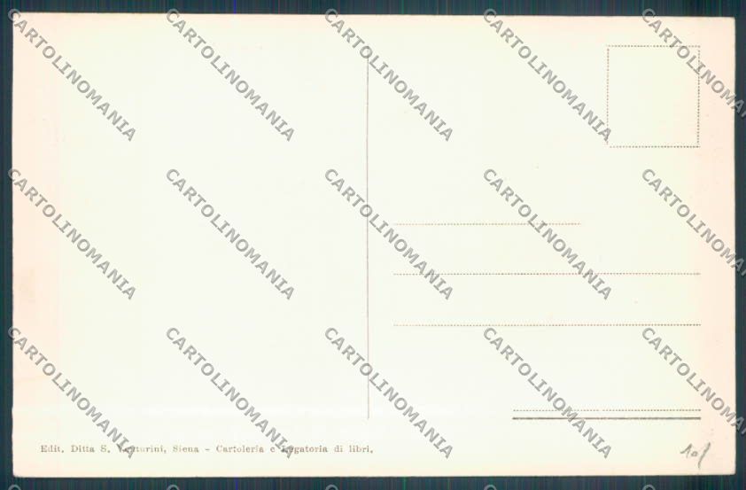 Siena città cartolina ZG1216 – retro