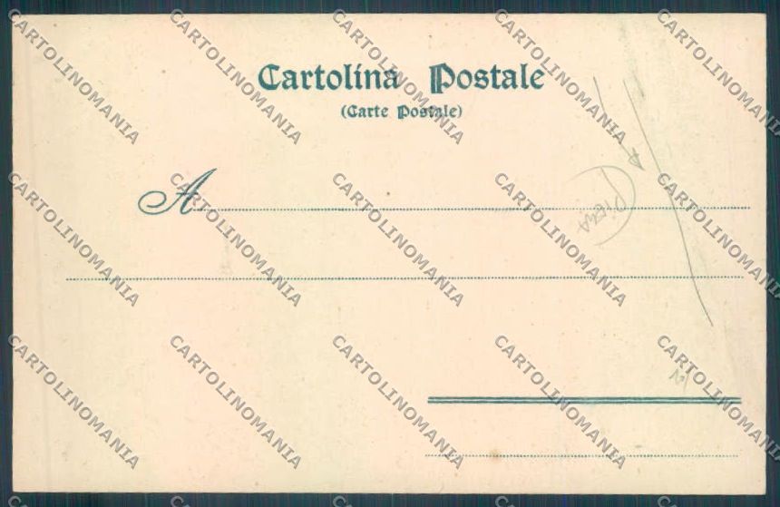 Siena città PIEGA cartolina ZG1249 – retro