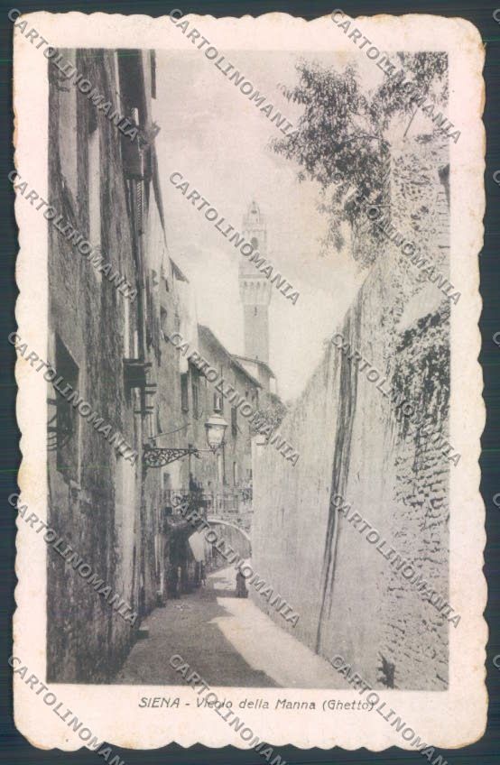 Siena città cartolina ZG1266 – fronte