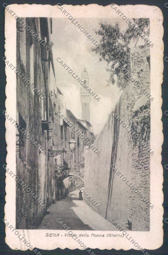 Siena città cartolina ZG1268 – fronte