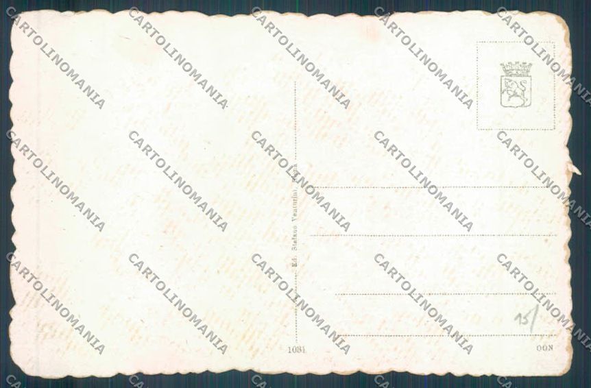 Siena città cartolina ZG1269 – retro