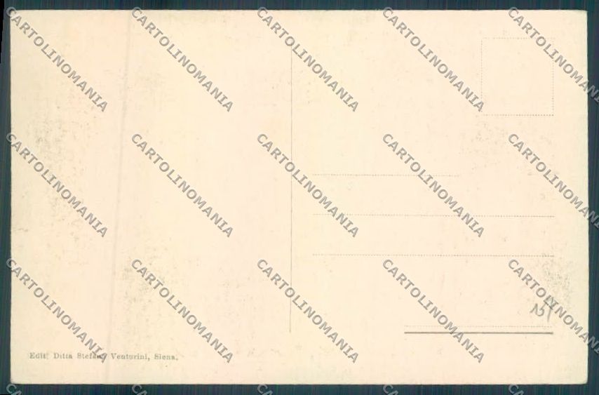 Siena città cartolina ZG1297 – retro