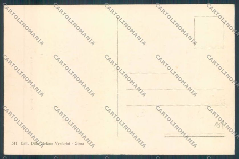 Siena città cartolina ZG1299 – retro