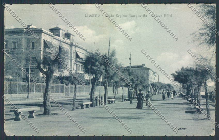 Livorno città Viale Margherita cartolina ZG1341 – fronte