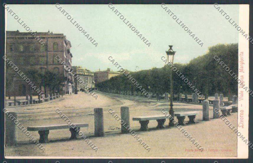 Livorno città cartolina ZG1386 – fronte