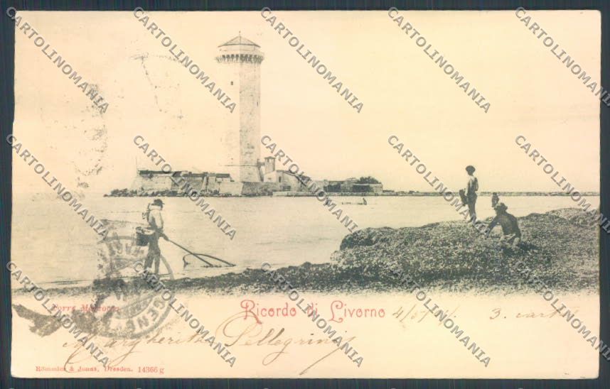 Livorno città cartolina ZG1464 – fronte