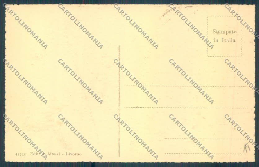 Livorno città Viale Margherita cartolina ZG1474 – retro