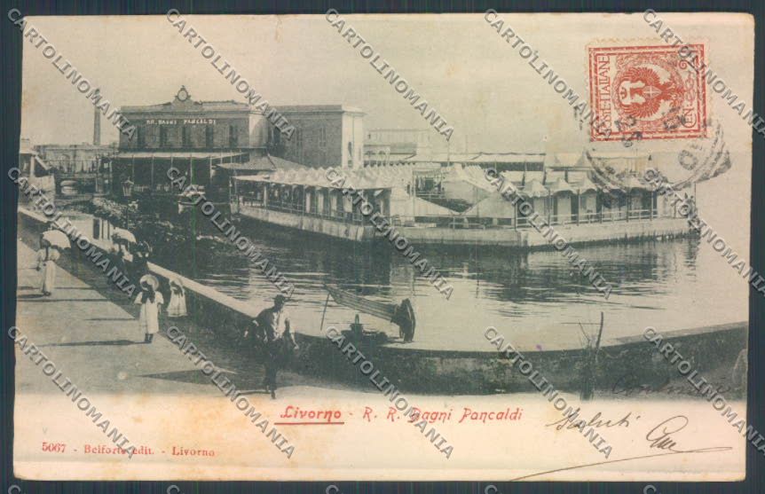 Livorno città STRAPPINO cartolina ZG1481 – fronte