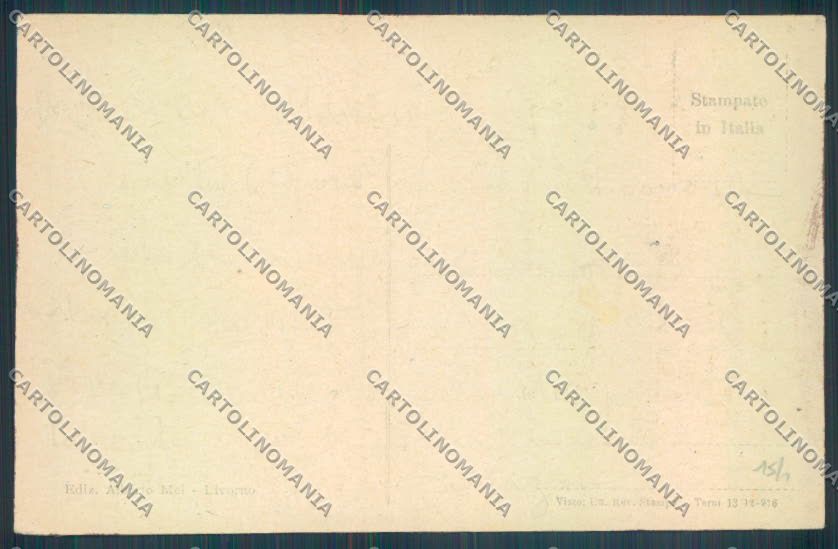 Livorno città cartolina ZG1493 – retro