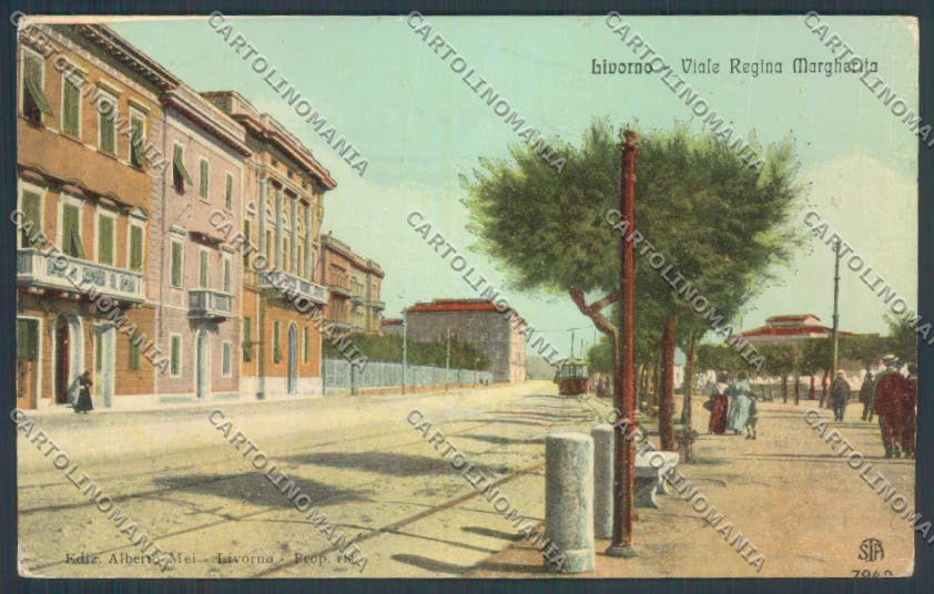 Livorno città Viale Margherita cartolina ZG1537 – fronte