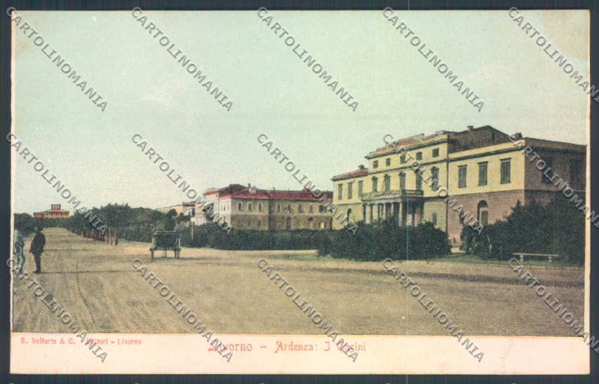 Livorno città Ardenza cartolina ZG1548 – fronte