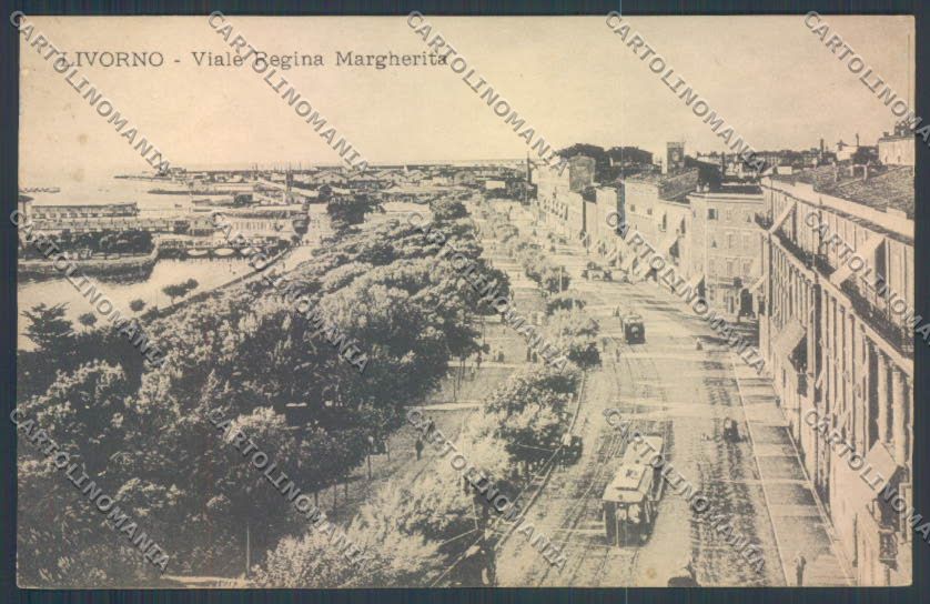 Livorno città Viale Margherita cartolina ZG1550 – fronte