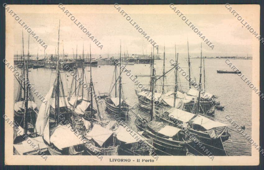Livorno città Porto cartolina ZG1566 – fronte