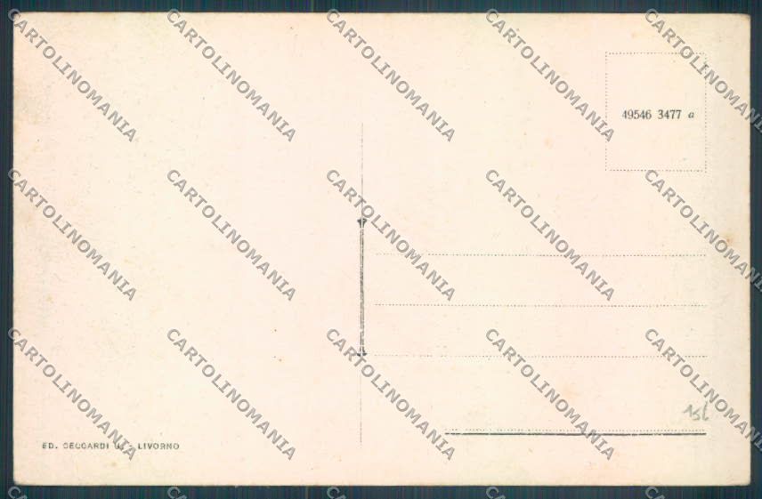Livorno città cartolina ZG1579 – retro