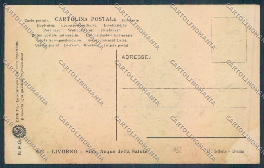 Livorno città NPG Foto cartolina ZG1633 – retro