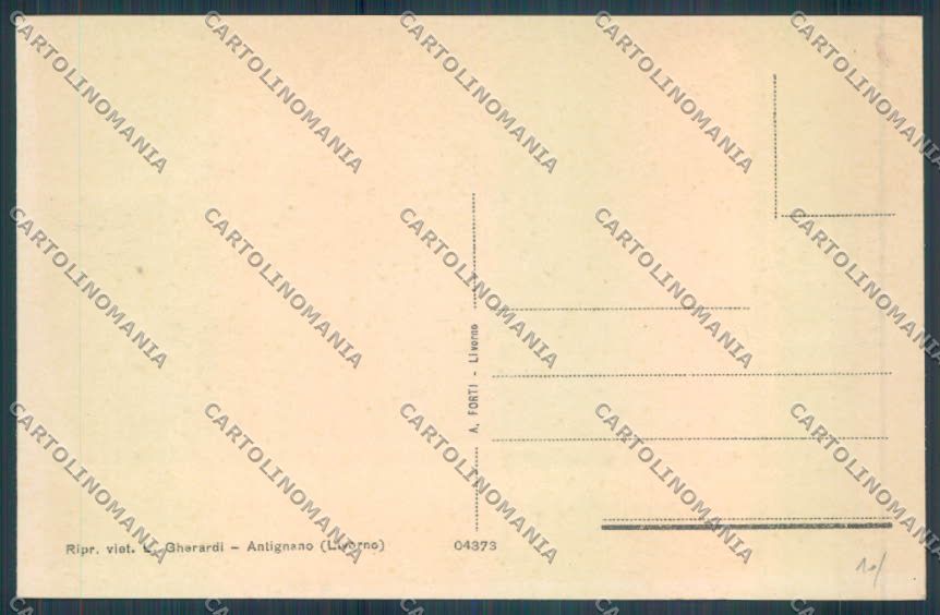 Livorno Antignano cartolina ZG1649 – retro