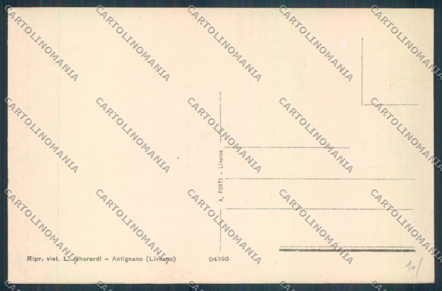 Livorno Antignano cartolina ZG1652 – retro