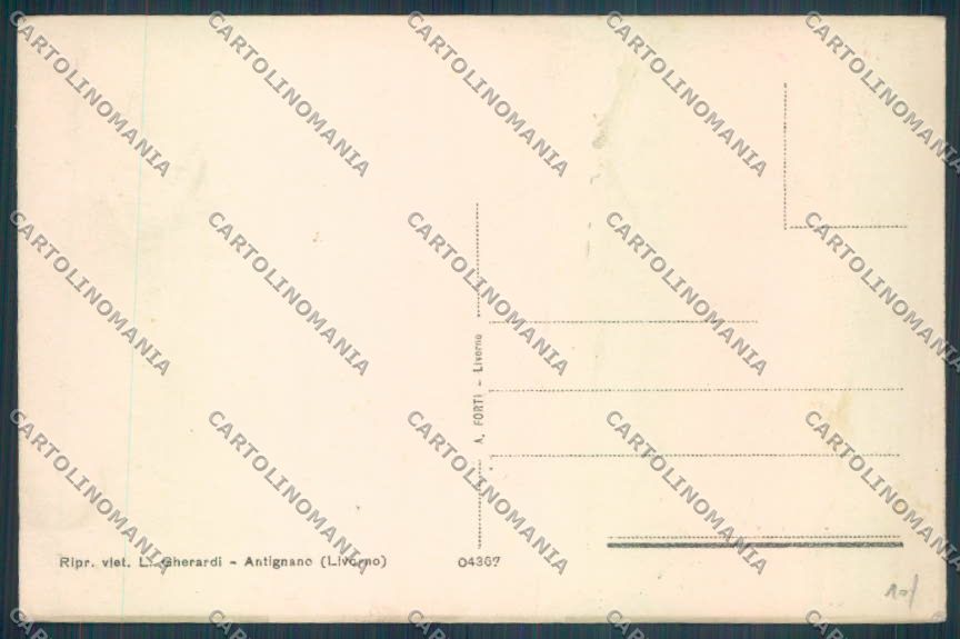 Livorno Antignano cartolina ZG1656 – retro