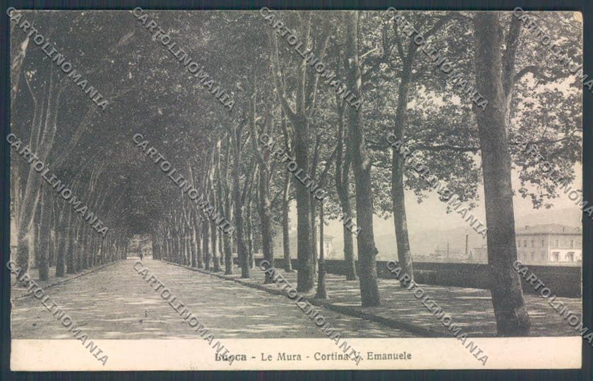 Lucca Città cartolina ZG1714 – fronte