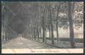 Lucca Città cartolina ZG1714 – fronte