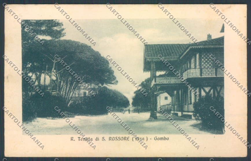 Pisa San Rossore cartolina ZG1734 – fronte