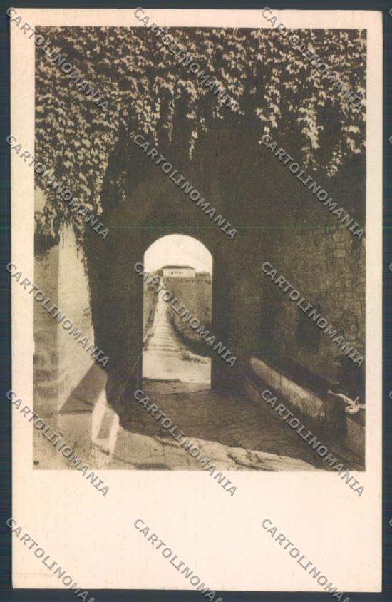 Firenze Villa d'Artimino cartolina ZG1750 – fronte