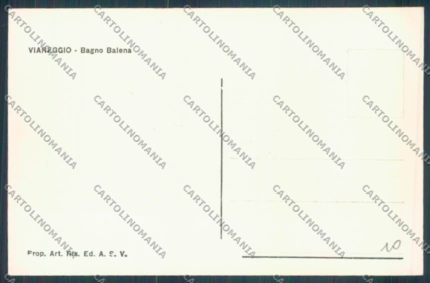 Lucca Viareggio Foto cartolina ZG1753 – retro