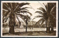 Ancona città Foto cartolina ZG1880 – fronte