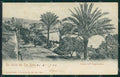 Imperia Sanremo Cartolina ZG2282 – fronte
