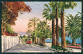 Imperia Sanremo Tram Cartolina ZG2391 – fronte