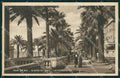 Imperia Sanremo Cartolina ZG2483 – fronte