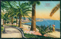 Imperia Sanremo Cartolina ZG2485 – fronte