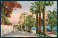 Imperia Sanremo Tram Cartolina ZG2534 – fronte