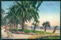 Imperia Sanremo Cartolina ZG2590 – fronte