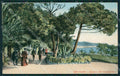 Imperia Sanremo Cartolina ZG2597 – fronte