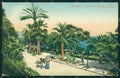 Imperia Sanremo Asino Cartolina ZG2613 – fronte