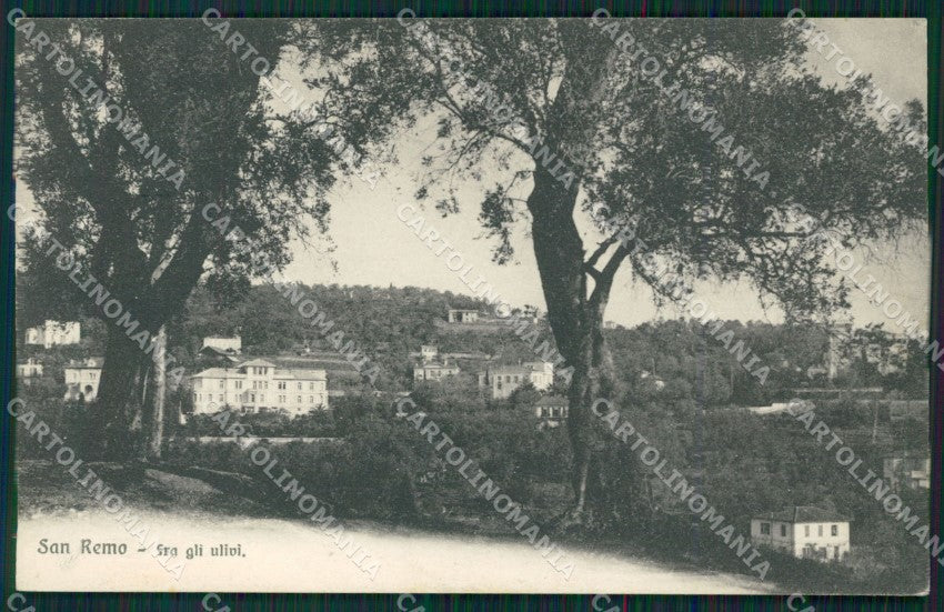 Imperia Sanremo Cartolina ZG2619 – fronte