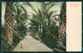 Imperia Sanremo Cartolina ZG2686 – fronte