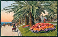 Imperia Sanremo Cartolina ZG2711 – fronte