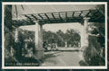 Imperia Sanremo STRAPPINO Foto Cartolina ZG2819 – fronte